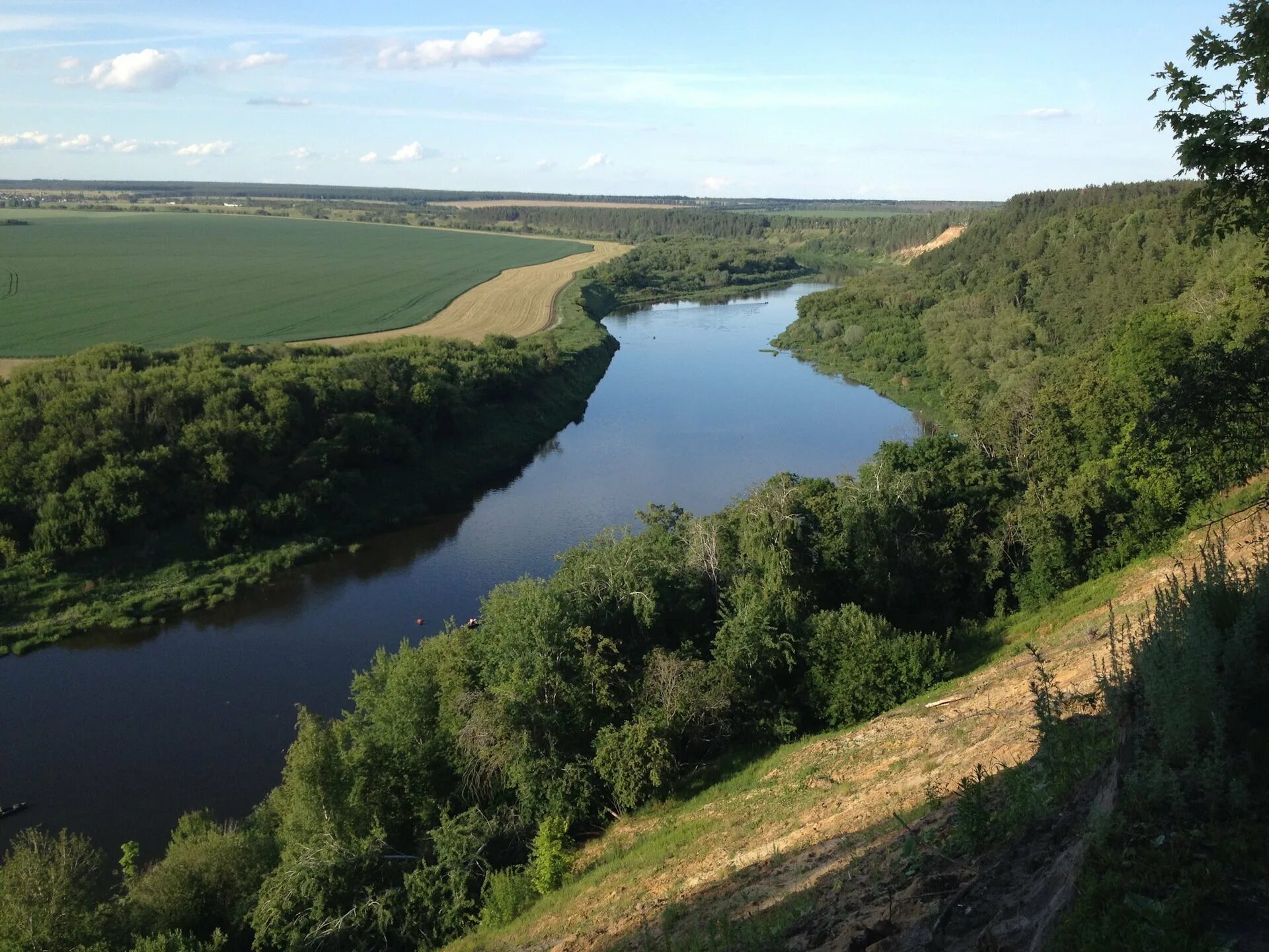 Река Дон Кривоборье. Лысая гора Кривоборье. Река Дон в Воронеже Богучарский район. Река Дон Волгодонск. Город устье реки дон