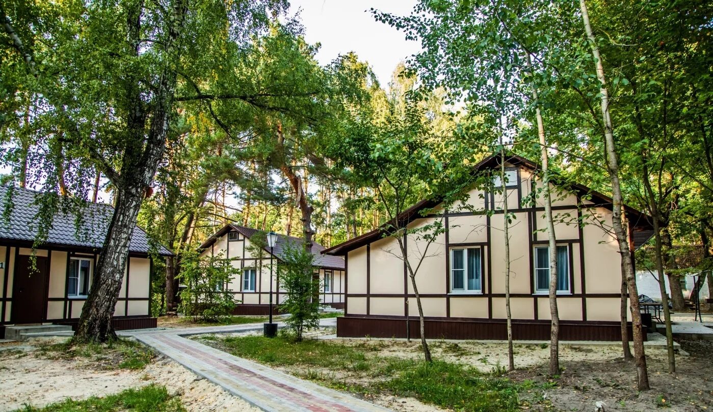 подлесный курск отзывы. дичня курская область рахоль. д. магнит косметик курск. подлесный 74 курск.