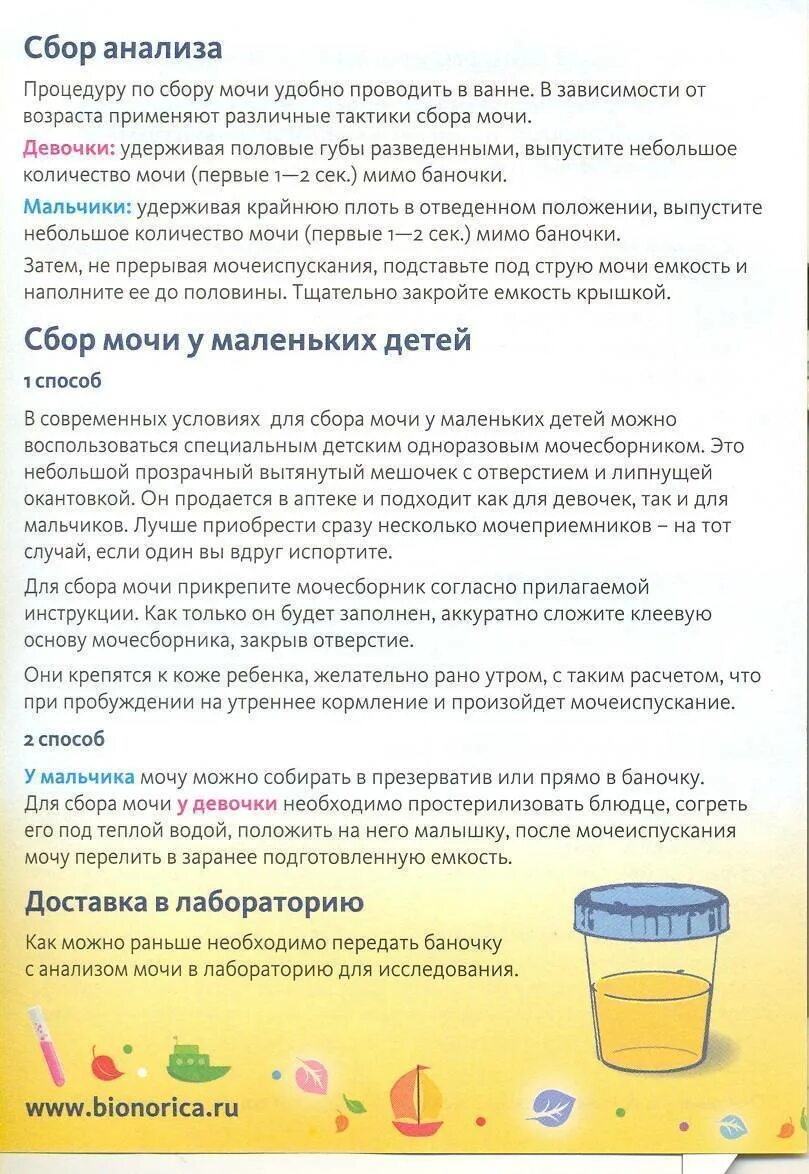 Моча месячного ребенка. Сбор анализа мочи. сбор анализа мочи у детей. памятка по общему анализу мочи. собрать анализ у ребенка общий мочи.