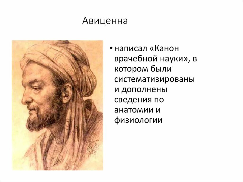 Авиценна пушкин сайт. Авиценна. Ибн сина. Авиценна анатомия. Авиценна актер.