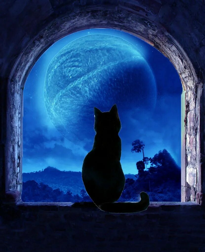"Moon cat" - image created in Shedevrum