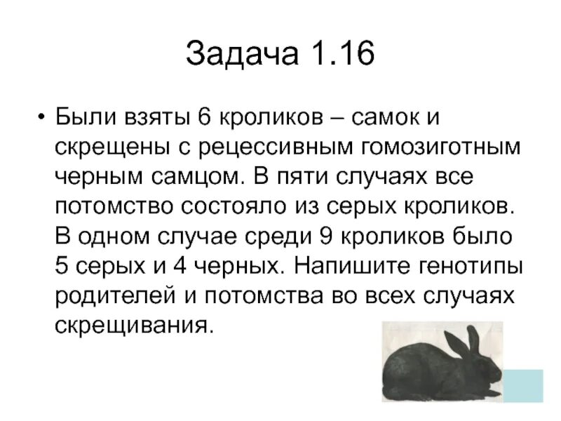 Скрестили белого и черного кроликов определите генотип. Скрещивание кроликов задачи. Задача про кроликов. Скрещивание серых кроликов. Задачи про кроликов детские с ответами.