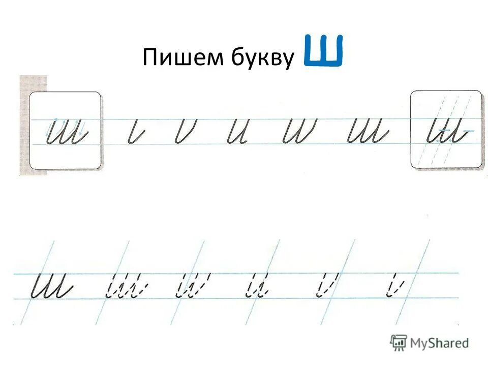 Как пишется буква ш. Элементы буквы ш. Написание буквы ш 1 класс. Пишем букву ш.