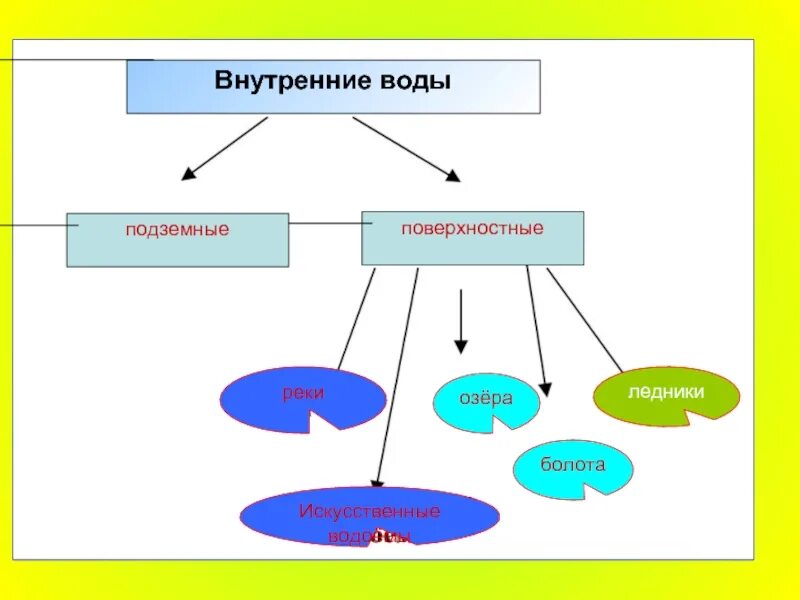 Внутренние воды. Внутренние воды схема. Схема виды внутренних вод. Кластер внутренние воды. Образование внутренних вод