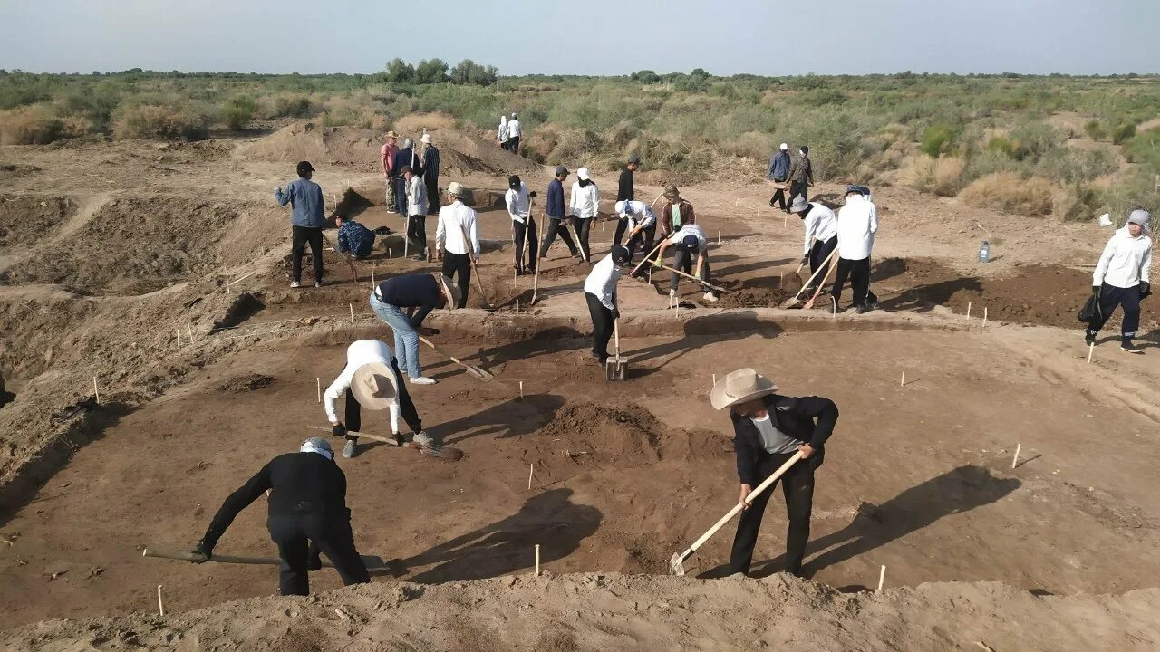 археолог провел раскопки. раскопки кургана погребения воинов. археологическая раскопка. древнее захоронение на участке в ленобласти. археолог провел раскопки.