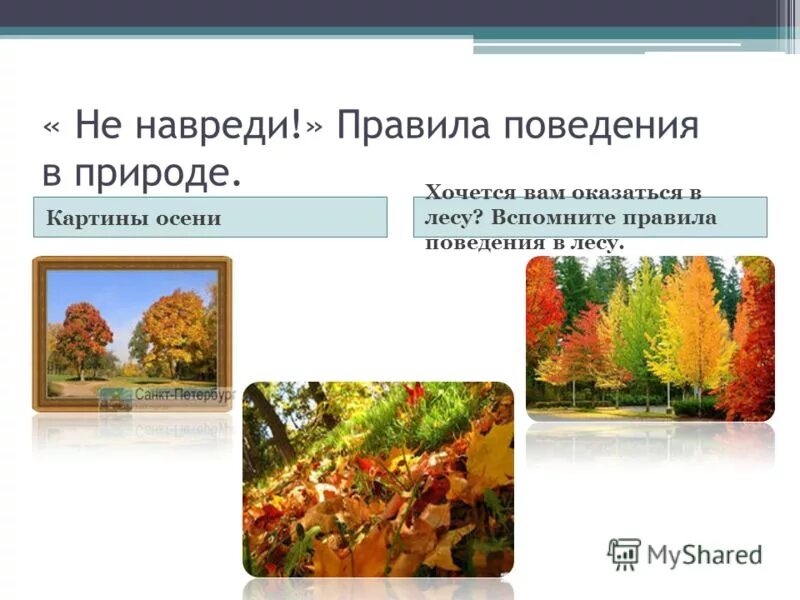 Изменения природы осенью 5 класс