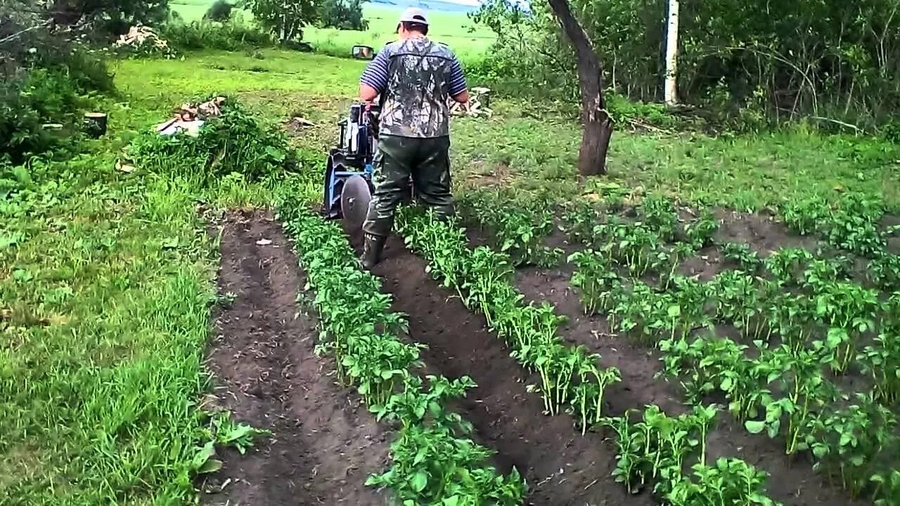 Как нарезать гряды мотоблоком. Окучивать картошку мотоблоком.