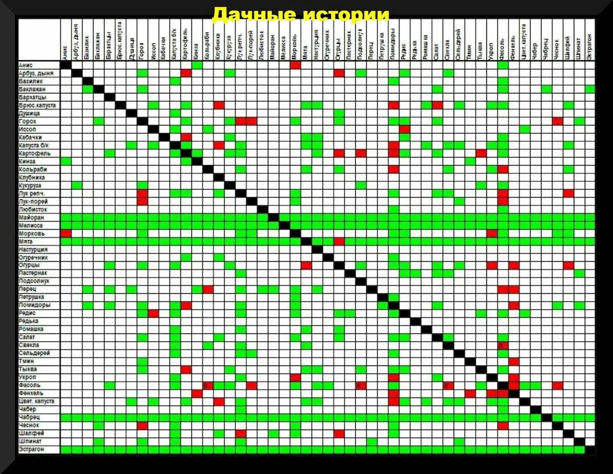Таблица соседства на грядках. Соседство овощей на грядках таблица. Аллелопатия растений таблица совместимости. Таблица совместимости посадок овощных культур. Совместная посадка овощей на одной грядке таблица.