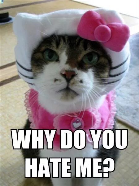 Why i hate. Why you hate me. I hate you. Why do you hate me. You hate me мемы.