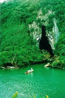 Phong