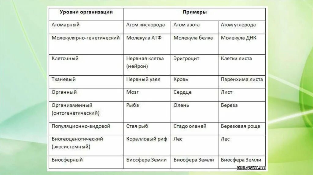 Движение наблюдается на уровне организации жизни. Уровни организации жизни биология таблица. таблица по биологии уровни организации живых систем. уровни организации живых организмов таблица. уровни организации биологических систем таблица.
