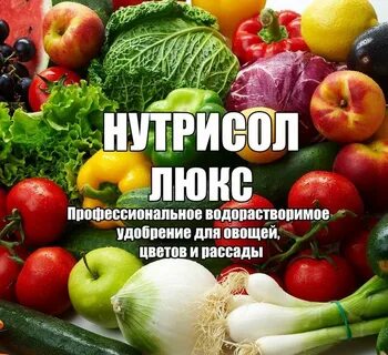 10 подкормок овощей