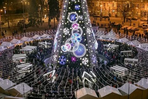 Мир елки