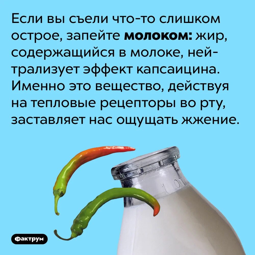 Что будет если есть много острого. Острый перец и молоко. острое запивать молоком. что если съесть огурец и запить молоком. интересные факты ,советы,новости.