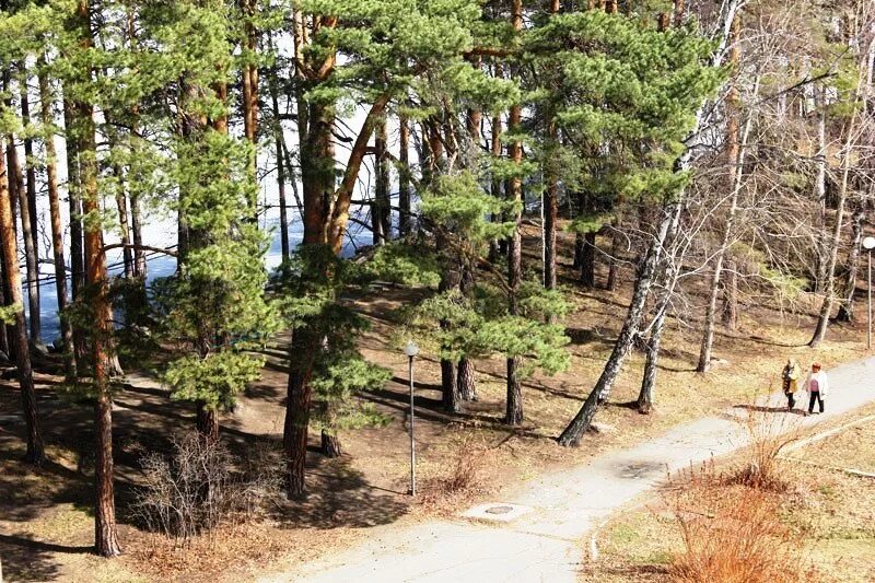 Родничок чебаркуль. Родничок Еловое Чебаркуль. База Родничок Еловое. Родничок база отдыха Еловое Чебаркуль. Озеро Еловое Родничок.