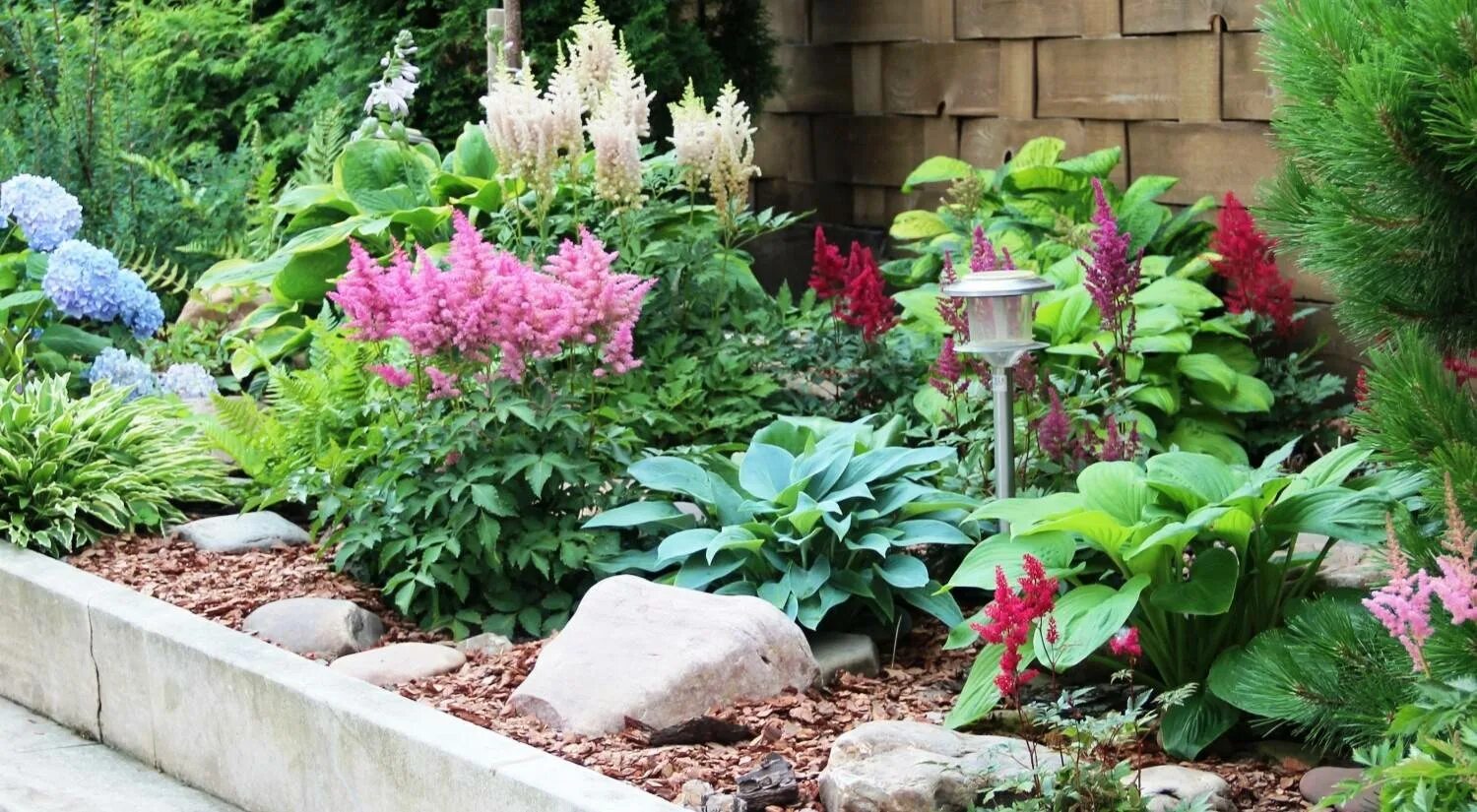 20 plants to brighten your shade garden. Annuals, perennials and herbs for shady