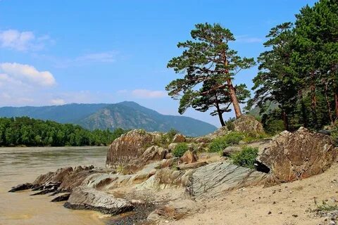 Река белая сосна