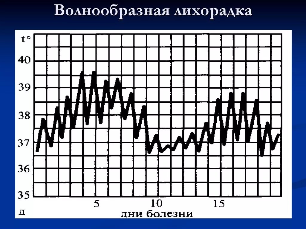 Лихорадка латынь. Температурная кривая волнообразная лихорадка. Волнообразная лихорадка температурный лист. Температурная кривая при волнообразной лихорадке. Волнообразная лихорадка график.