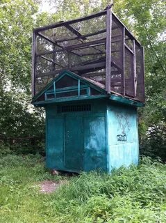 Какую голубятни