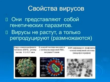 Особенности вирусов биология 9 класс