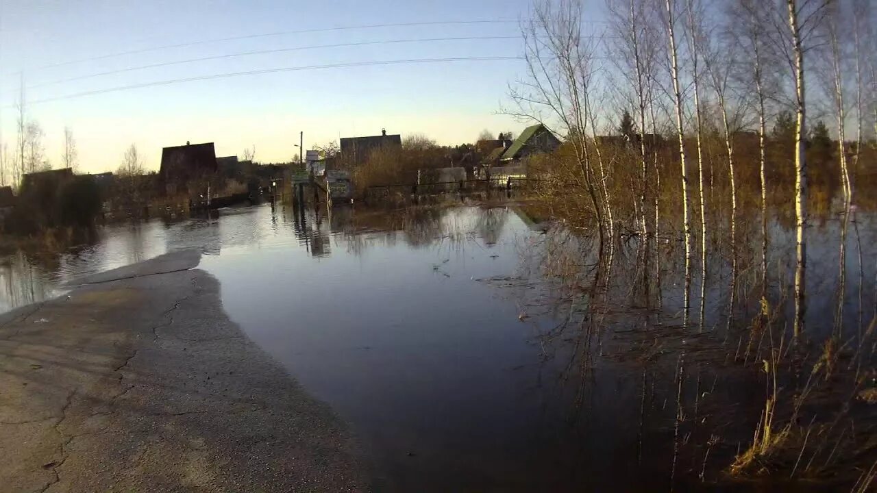 Погода в тосно ленинградской на неделю