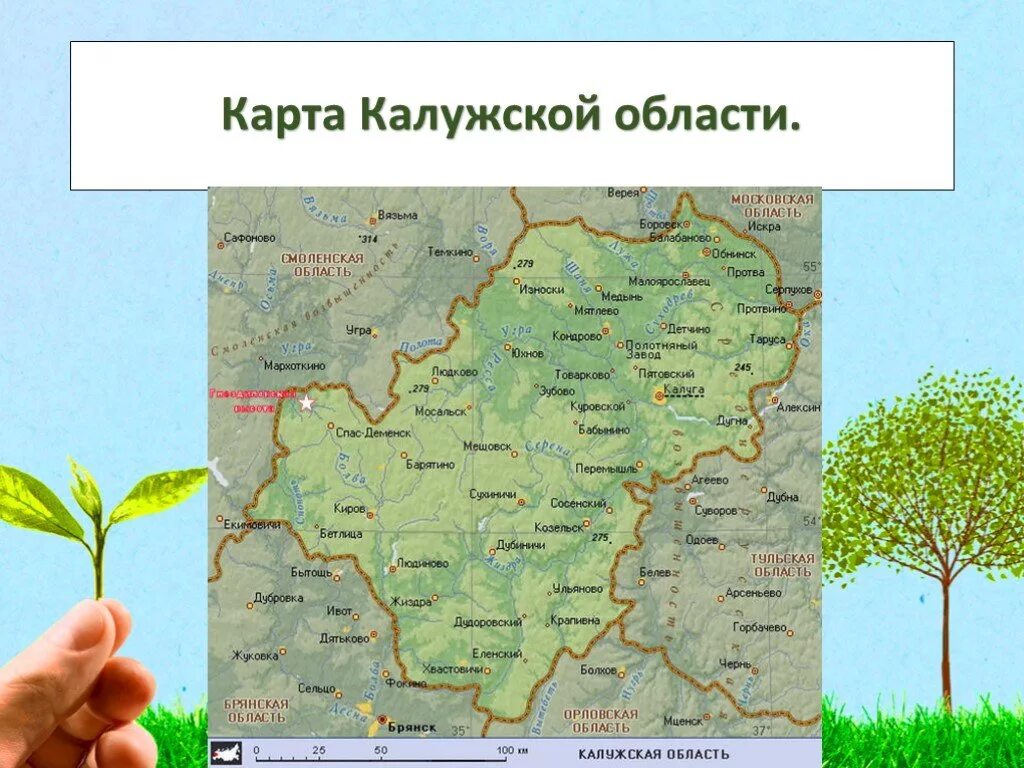 Карта растительности Калужской области. Калужская область растительный мир карта. Растительная карта Калужской области. Карта Калужской област. Сайт калужской обл