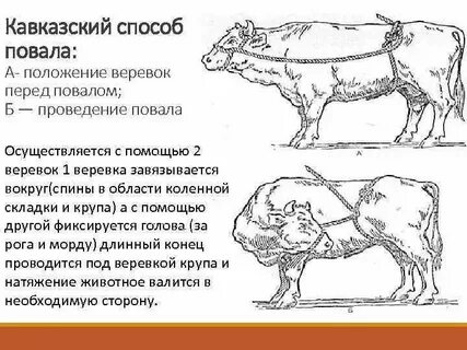 Способ гесса
