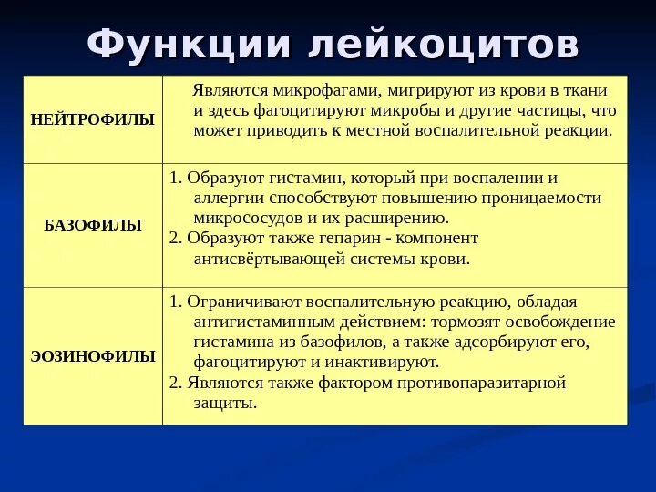 1 функции лейкоцитов. Роль лейкоцитов в механизмах повреждения тканей.. Лейкоциты выполняют функцию. Функции нейтрофилов в очаге воспаления. Какую функцию выполняют лейкоциты.