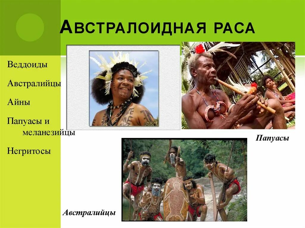 Австралоидная раса народы. Меланезийская раса австралоидная. Народы австралоидной расы в Евразии. Представители австралоидной расы. Страны относящиеся к австралоидной расе