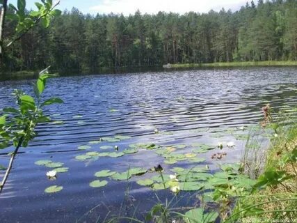 Озеро запольское