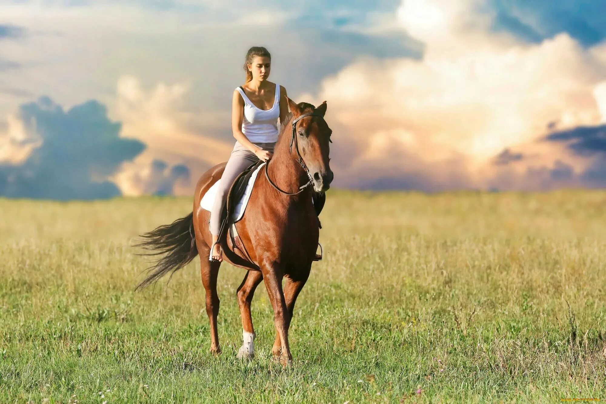 Riding round. Хорс райдинг. Верховая езда. Верхом на лошади. Прогулка на лошадях.