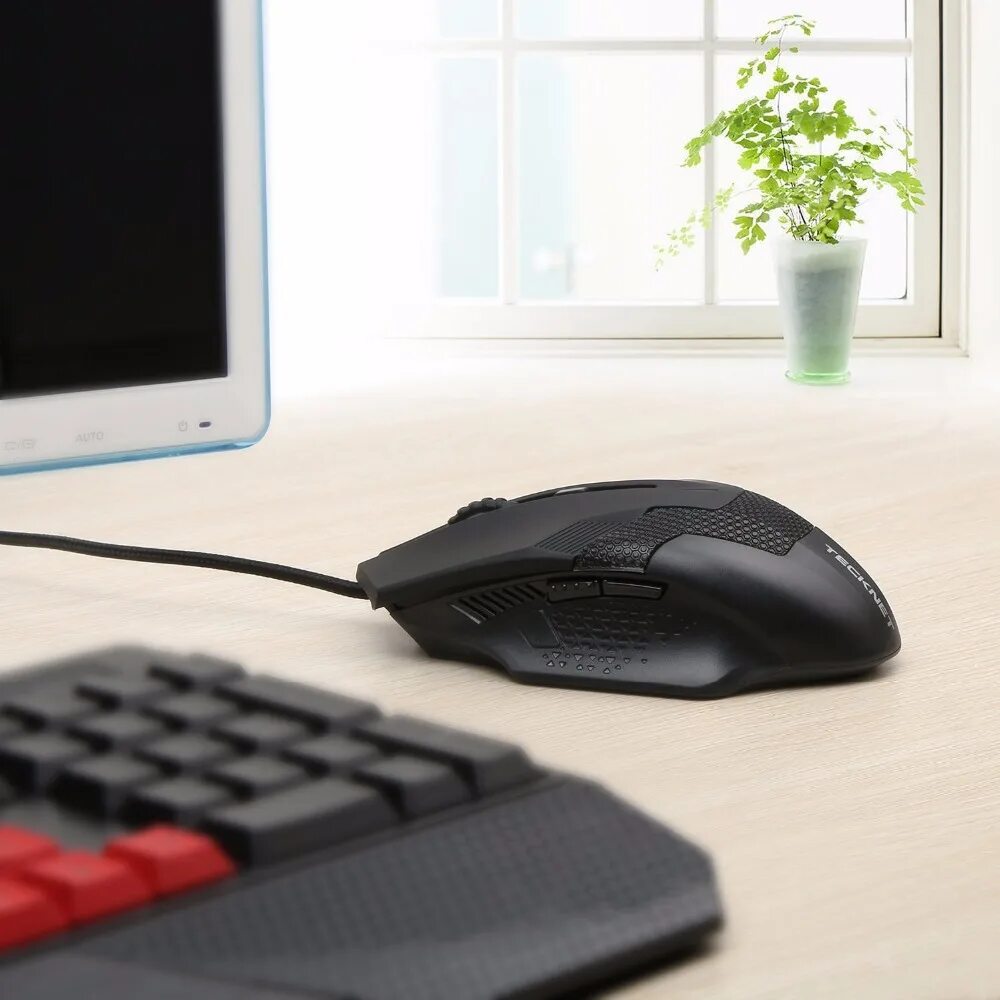Мышка компьютерная. Мышь и компьютерная мышь. Мышка для компьютера. Мышка для ноутбука.