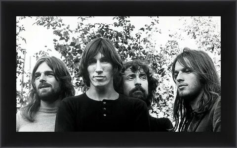New pink floyd