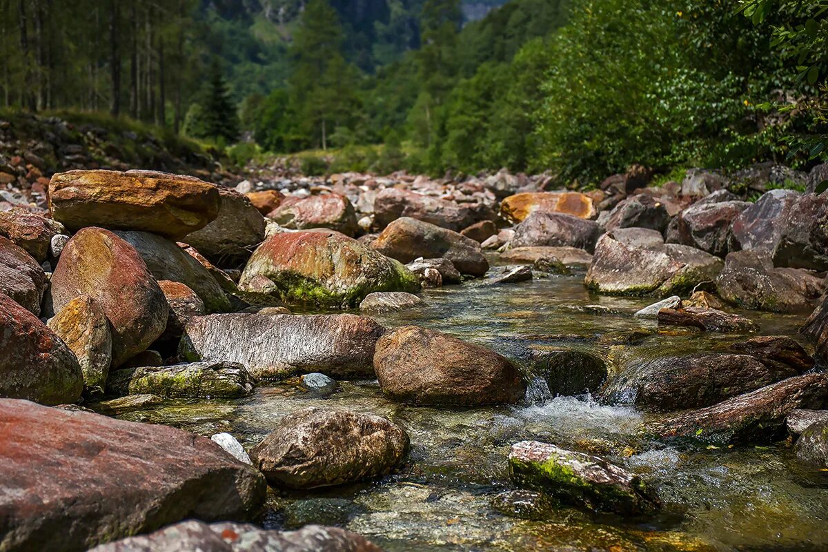 Швейцария река верзаска (verzasca). Цюрихское озеро швейцария. Река рейн в швейцарии. Долина верзаска швейцария. Реки швейцарии фото.