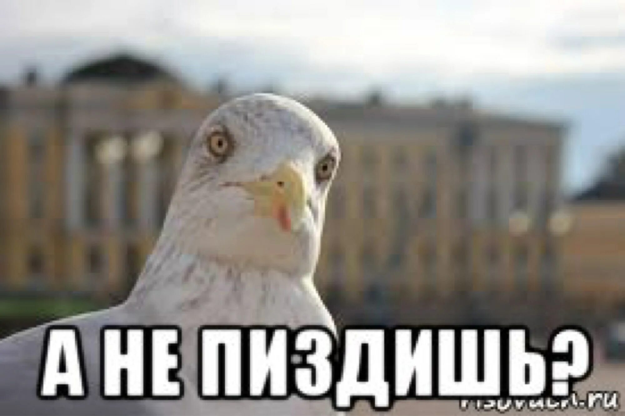 Забываемые добавить