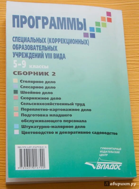 Рабочие программы 6 класс 8 вид. Программы для специальных коррекционных образовательных учреждений. Специальная коррекционная программа это.