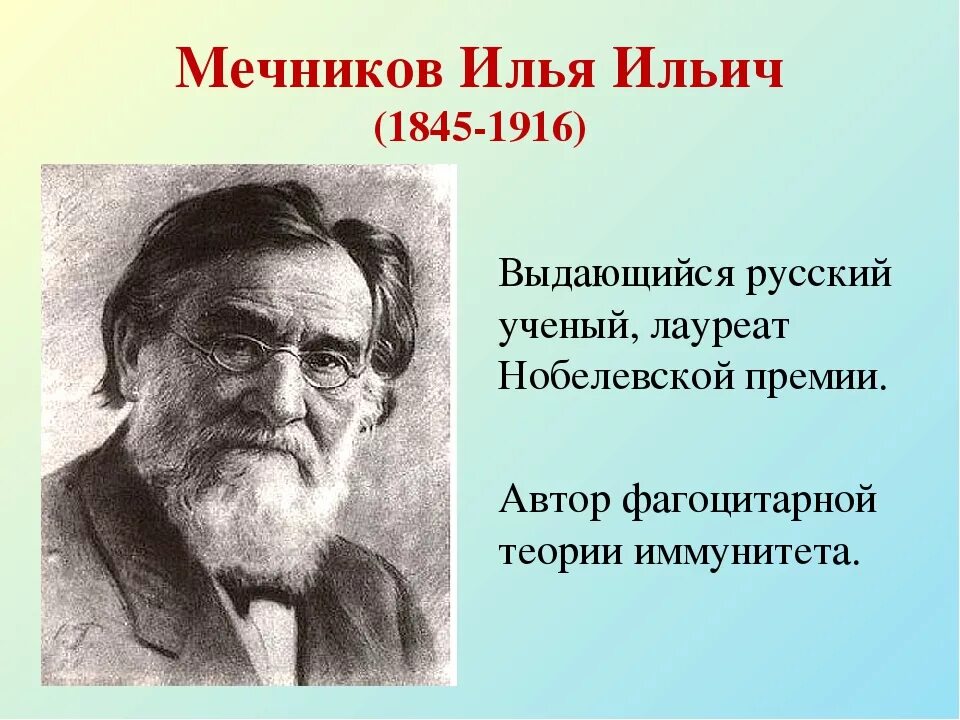 Открытие советских ученых в области медицины. Ильи Ильича Мечникова (1845—1916).