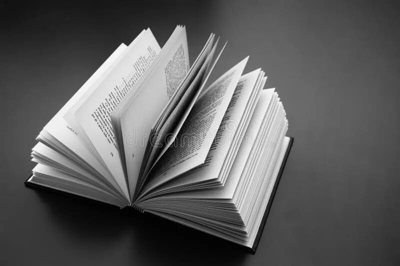 Книги эстетика. Эстетика книг черно белое. Книга черно белая. Книга серое белое черное. Книга серое белое черное.