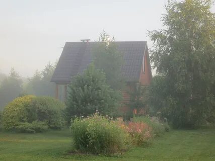 Сад ларисы