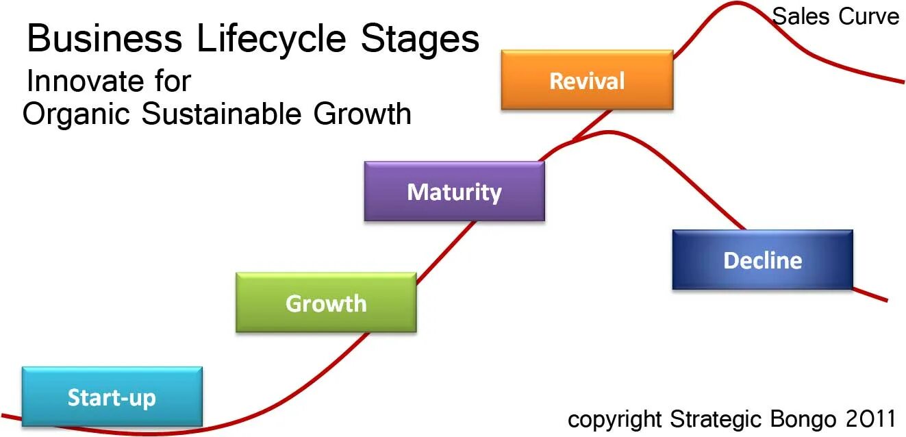 Stages of the life cycle. Life cycle of organization. company life cycle. stages of lifecycle of organization. organizational life cycle.