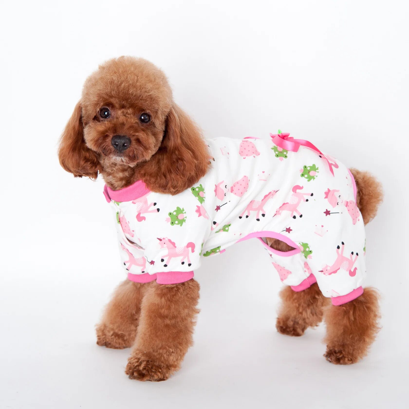 собачки в одежде. домашняя одежда для собак. костюмчики для собак. домашняя одежда для собак. одежда для собак девочек.