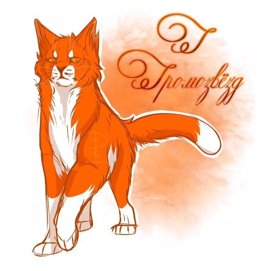 Коты воители лисичка. Кот гром коты воители. Коты воители гром. Коты воители гром. Коты воители громозвезд.