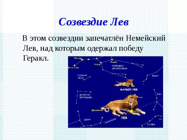 Рассказ о созвездии весеннего неба Лев для 2 класса. Созвездие малый Лев рассказ. Созвездие Лев рассказ 2 класс. Легенда о созвездии Льва. Придумай сказку о созвездиях весеннего неба