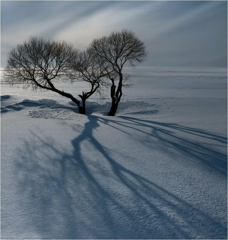 Winter shadows