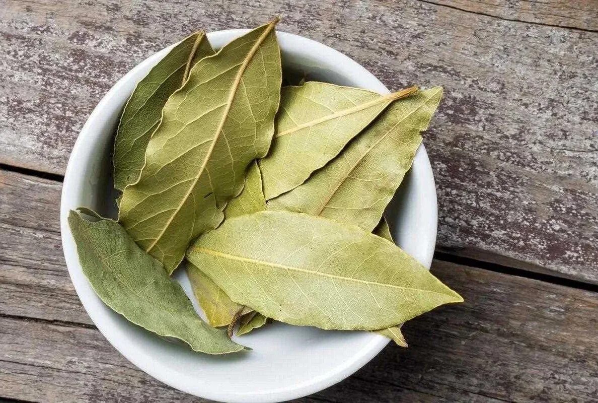 Как использовать лавровый лист. Как использовать лавровый лист. Лаврушка специя. Лист лаврушки. Лаврушка.
