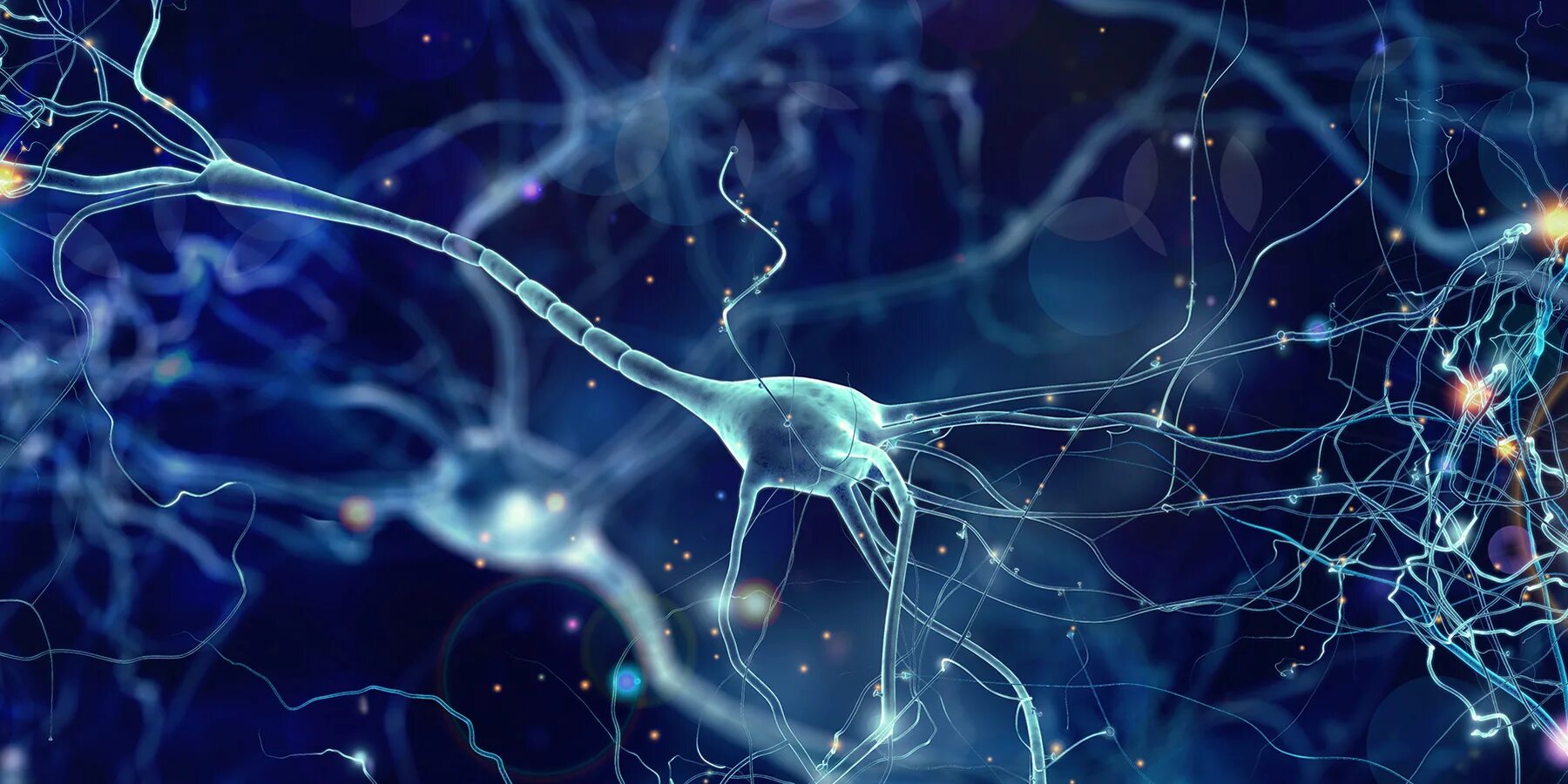 нейронный шум. мозг нейросеть. нейроны мозга. нейронные связи головного мозга. нейронные связи в мозге.