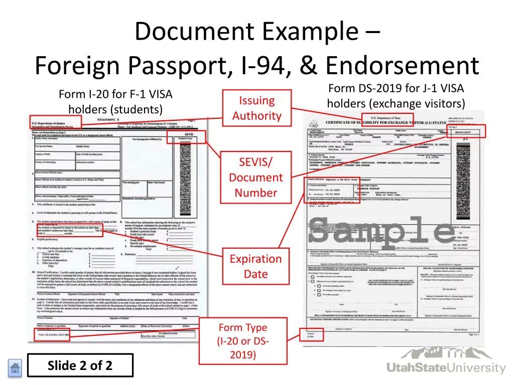 Document example. Legal documents примеры. Official documents examples. Document number. Issue documents