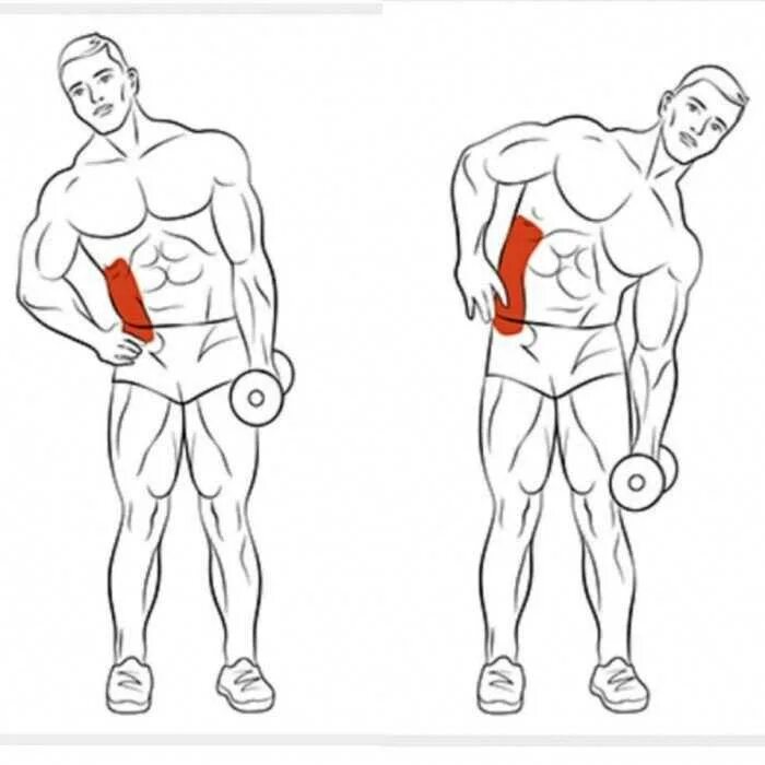Боковые с гантелями. Боковые наклоны с гантелей. Упражнения с гантелями в наклоне. Упражнения для накачки тела. Упражнения на пресс с гантелями.