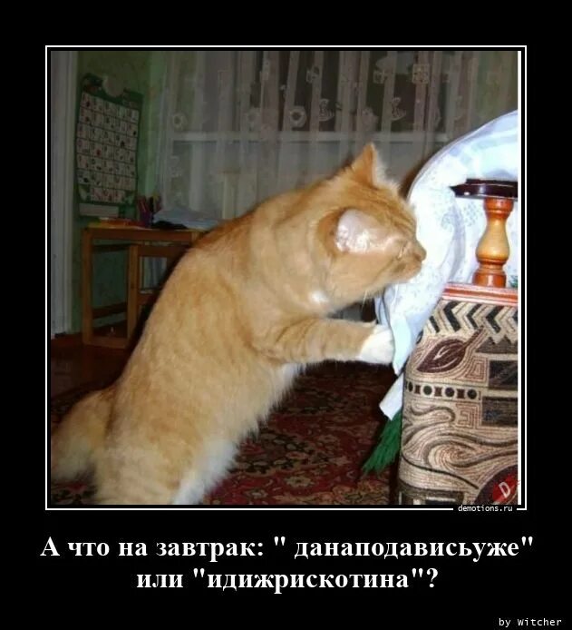 Встаньте пораньше утром быстро сделайте зарядку позавтракайте