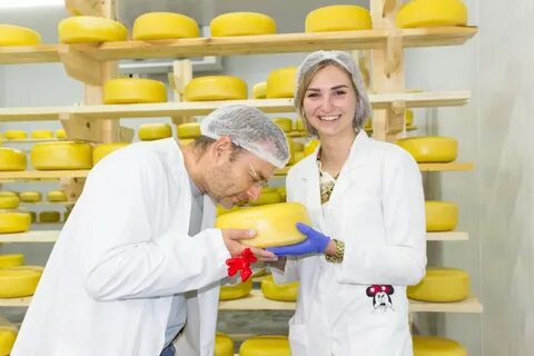 Сыроварня шаховская